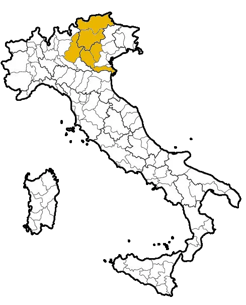 Mappa Italia - Province servite: Verona, Vicenza, Trento, Bolzano, Brescia, Rovigo